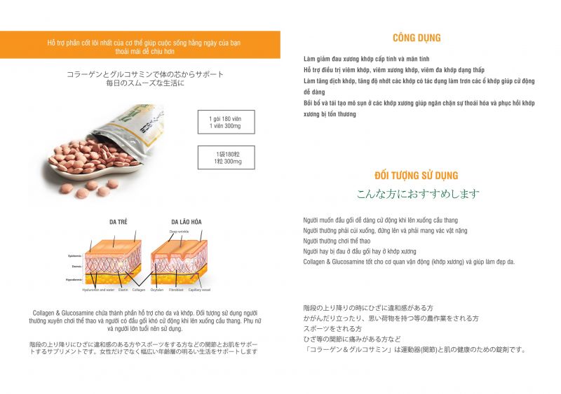 Collagen & Glucosamine Collagen & Glucosamine